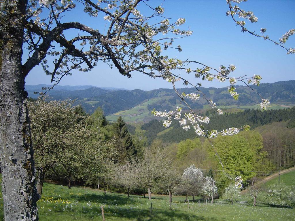 Langenberghof Apartment Oberharmersbach Luaran gambar