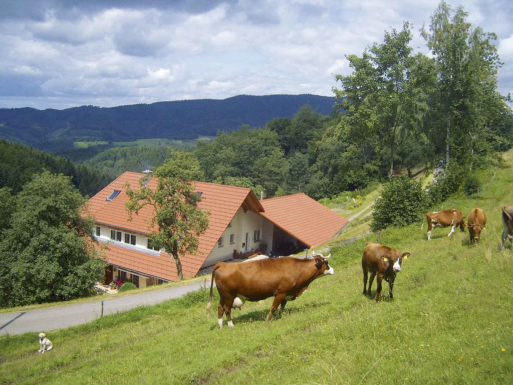 Langenberghof Apartment Oberharmersbach Luaran gambar