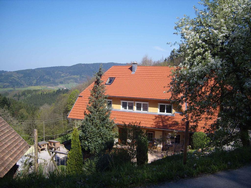 Langenberghof Apartment Oberharmersbach Luaran gambar