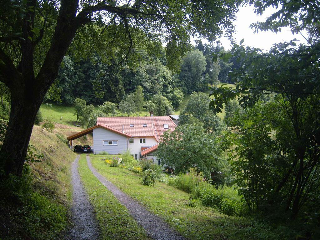 Langenberghof Apartment Oberharmersbach Luaran gambar