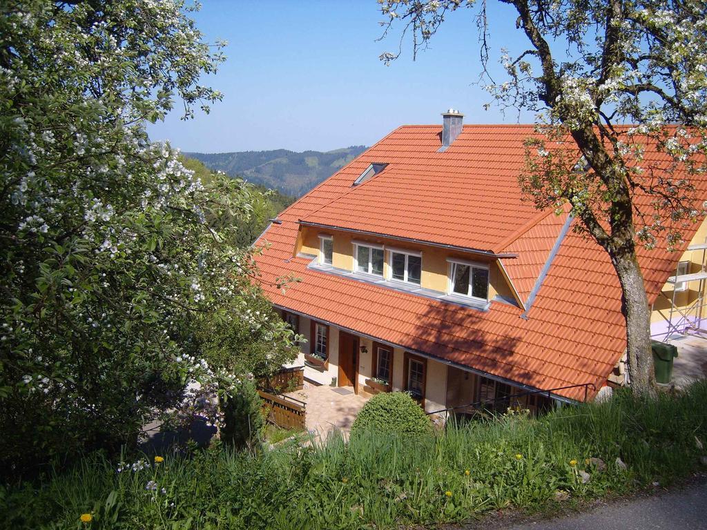 Langenberghof Apartment Oberharmersbach Luaran gambar