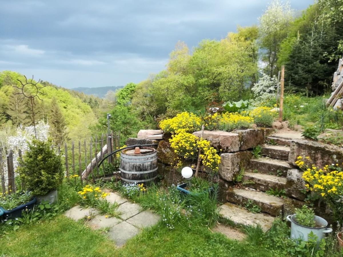 Langenberghof Apartment Oberharmersbach Luaran gambar