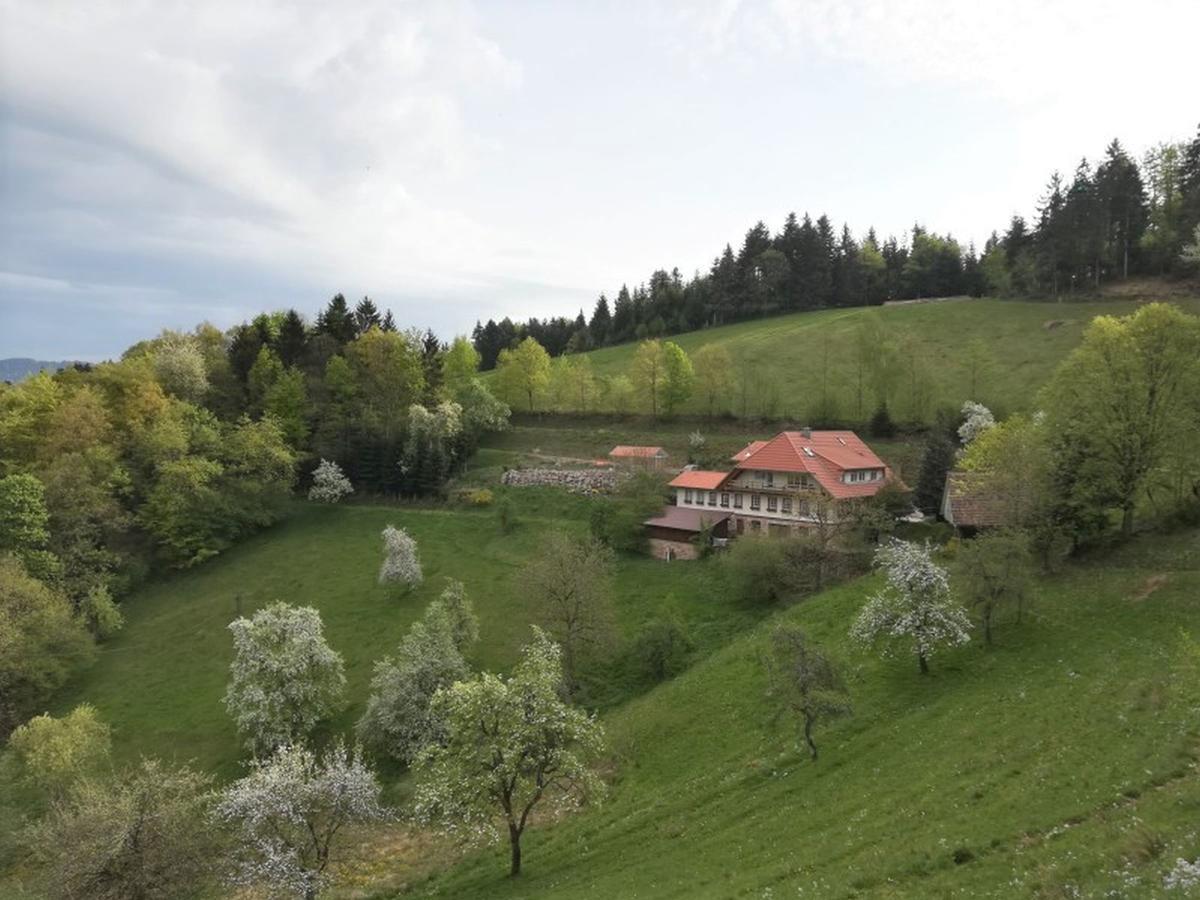 Langenberghof Apartment Oberharmersbach Luaran gambar