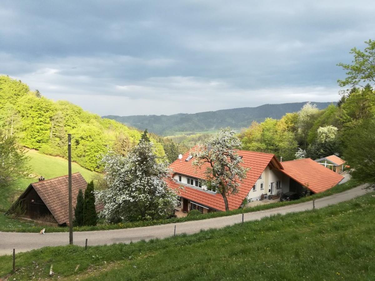 Langenberghof Apartment Oberharmersbach Luaran gambar