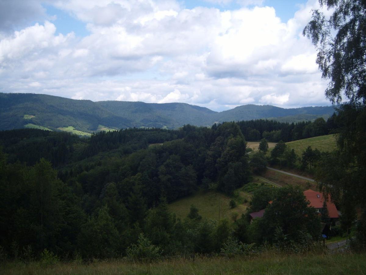 Langenberghof Apartment Oberharmersbach Luaran gambar