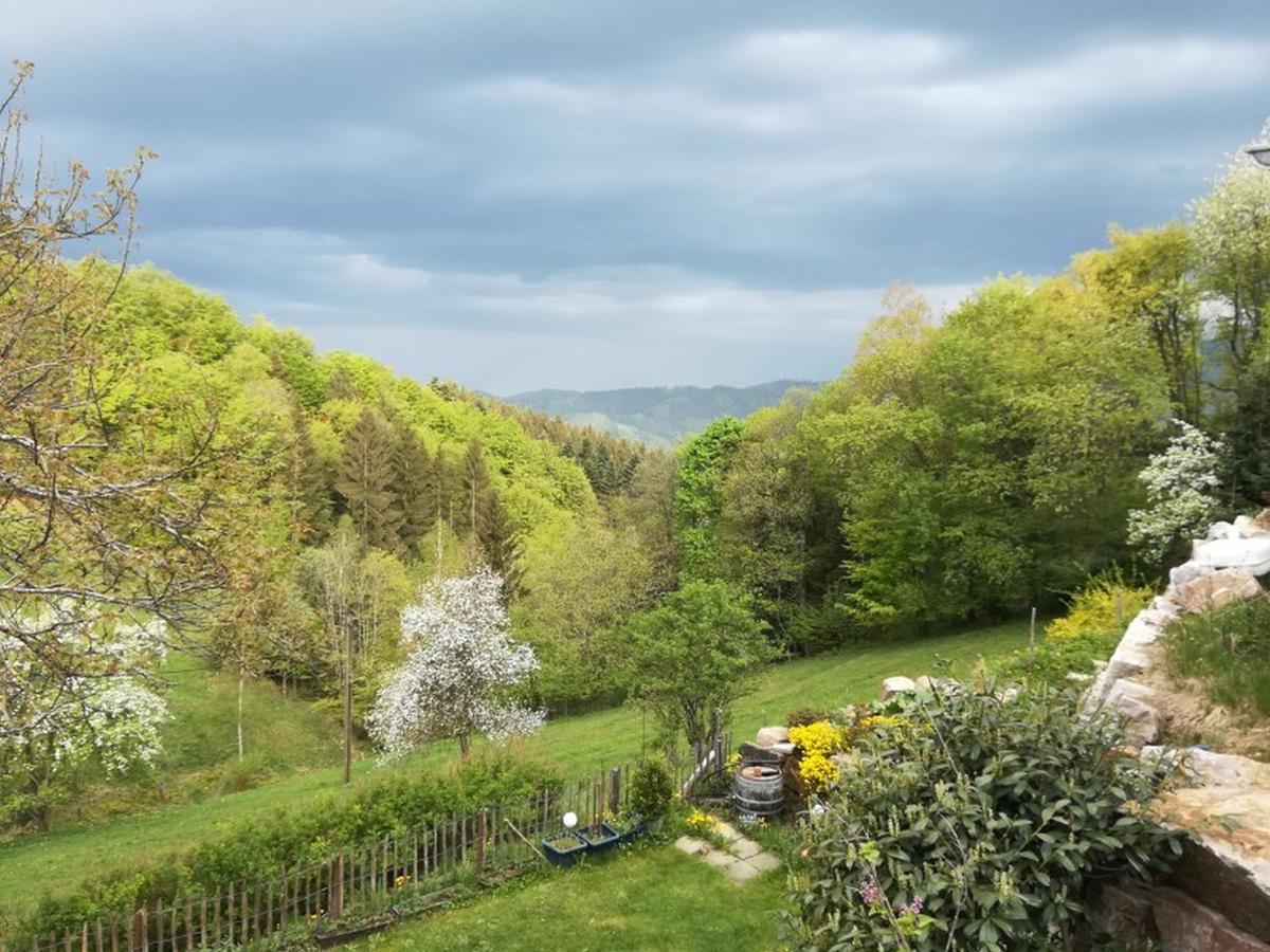 Langenberghof Apartment Oberharmersbach Luaran gambar