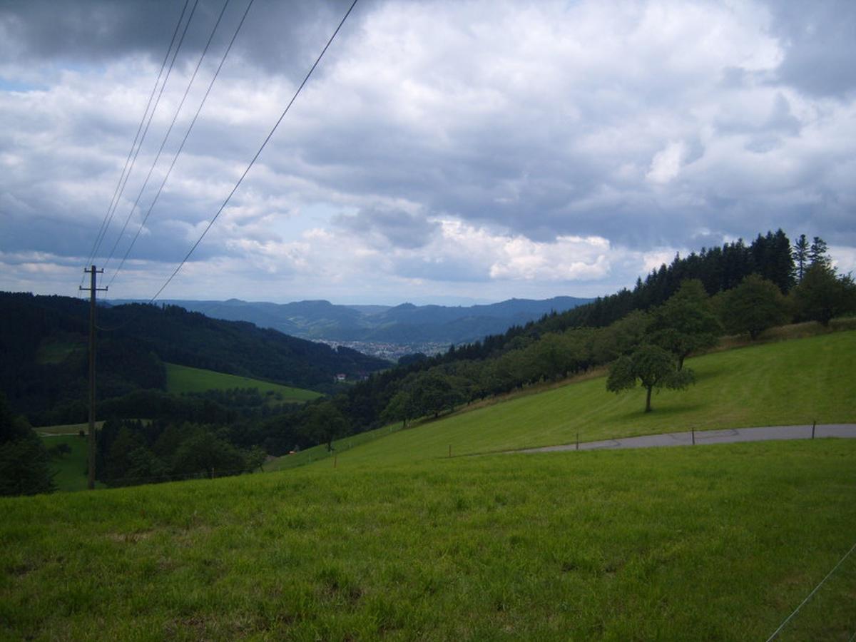 Langenberghof Apartment Oberharmersbach Luaran gambar